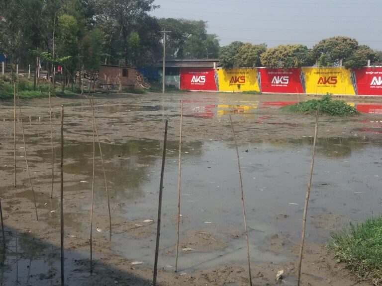 মিরসরাইয়ে স্কেভেটরের আঘাতে পাড় ভেঙ্গে  ভেসে ও মরে গেছে প্রকল্পের ২০ লাখ টাকার মাছ