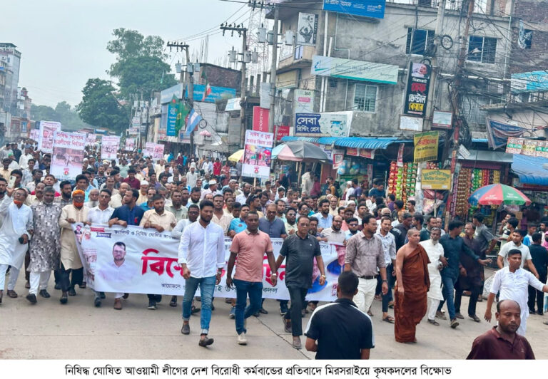 মিরসরাইয়ে কৃষক দলের বিক্ষোভ মিছিল ও সমাবেশ